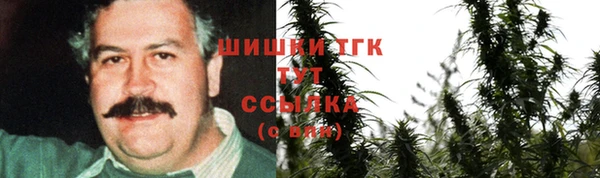 spice Арсеньев
